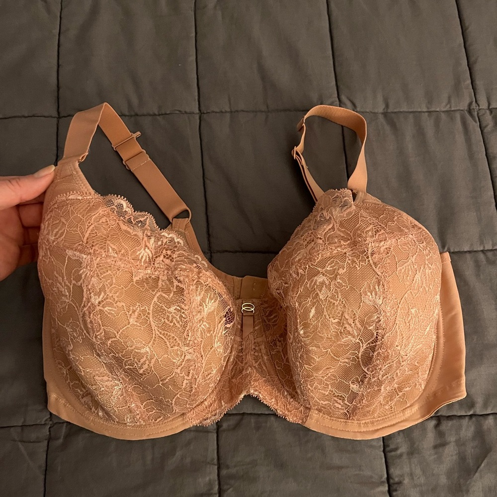 Elomi Briana Bra in Ash Rose 38G/38I